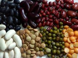 dried-beans